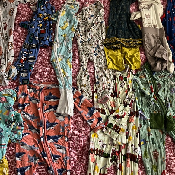 Huge bamboo lot/ plus extras - Picture 2 of 13